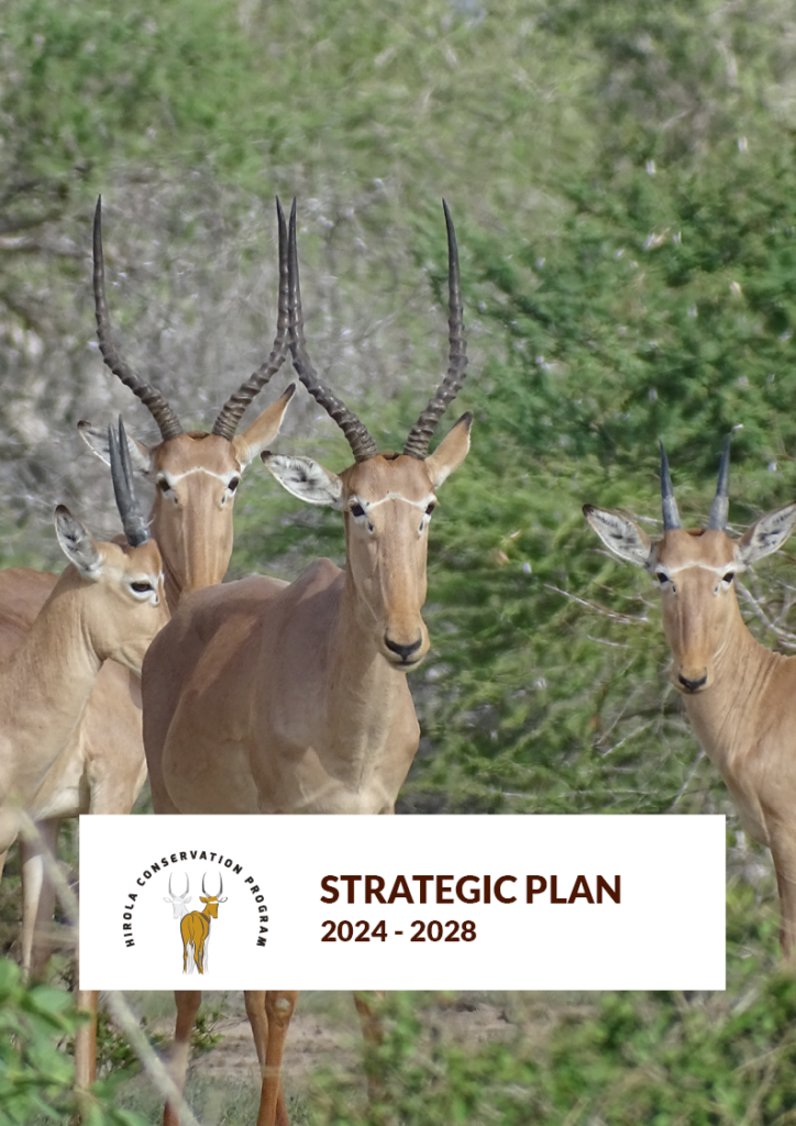 Strategic Plan 2028